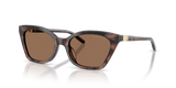 Shiny Havana Tundra / Dark Brown (646173)