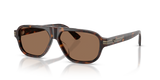 Shiny Havana / Dark Brown (502673)