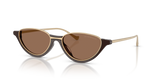 Shiny Brown / Dark Brown (645873)