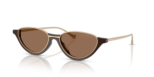 Shiny Brown / Dark Brown (645873)