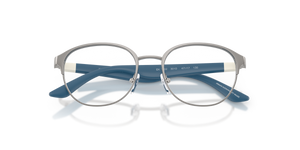 Shiny Gunmetal / Demo Lens (3010)