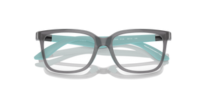 Opaline Black / Demo Lens (6134)