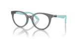 Opaline Black / Demo Lens (6134)