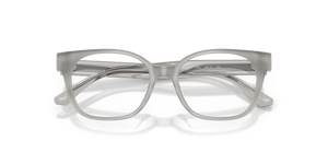 Shiny Opal Grey / Demo Lens (6386)