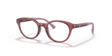 Shiny Transparent Red / Demo Lens (5075)