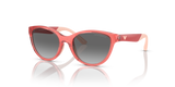 Shiny Transparent Coral / Gradient Grey (537711)