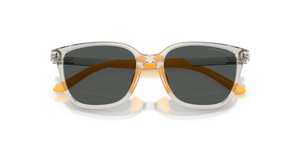 Transparent Grey / Dark Grey (627987)