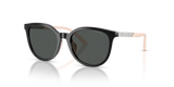 Shiny Black / Dark Grey (501787)