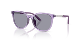Shiny Transparent Violet / Blue (628080)