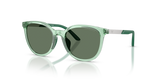 Shiny Transparent Green / Dark Green (628182)