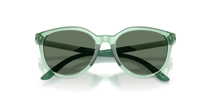 Shiny Transparent Green / Dark Green (628182)