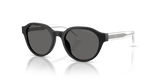 Matte Black / Dark Grey (500187)