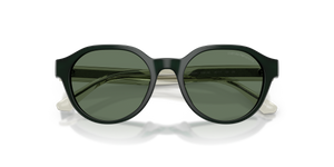 Shiny Green / Dark Green (638182)