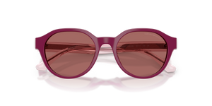 Shiny Violet / Dark Violet (638369)