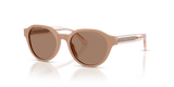 Shiny Opal Tundra / Dark Brown (638473)