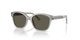 Shiny Opal Grey / Dark Brown (638693)