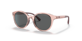 Shiny Transparent Pink / Dark Grey (554487)