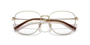 Shiny Light Gold / Demo Lens (9005)