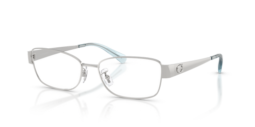 Shiny Silver / Demo Lens (9001)