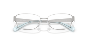 Shiny Silver / Demo Lens (9001)