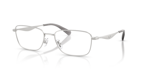 Satin Silver / Demo Lens (9001)