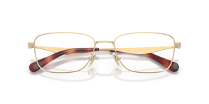 Satin Light Gold / Demo Lens (9005)