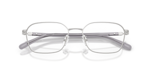 Shiny Silver / Demo Lens (9001)