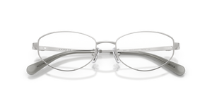 Shiny Silver / Demo Lens (9001)