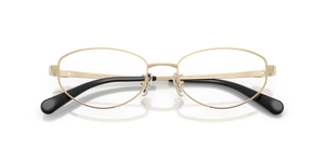Shiny Light Gold / Demo Lens (9005)