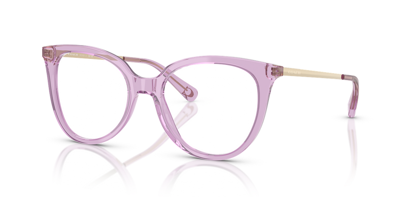 Coach HC6125 in Transparent Amethyst / Demo Lens (5400) - Front View