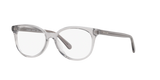 Transparent Grey / Demo Lens (5176)