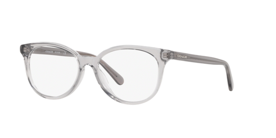 Coach HC6138U - Transparent Grey / Demo Lens (5176)