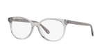 Transparent Grey / Demo Lens (5176)