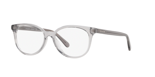 Coach HC6138U - Transparent Grey / Demo Lens (5176)