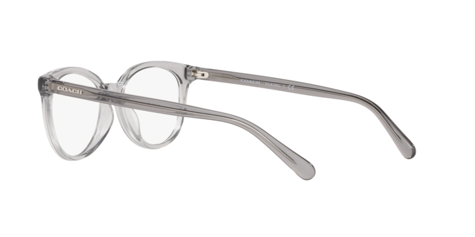 Coach HC6138U in Transparent Grey / Demo Lens (5176) - Side View