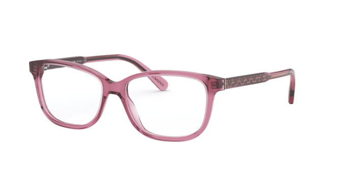 Coach HC6143 in Transparent Mauve / Demo Lens (5569) - Alternate View