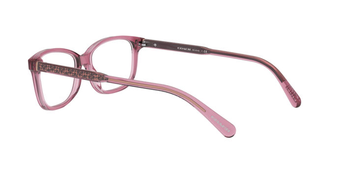 Coach HC6143 in Transparent Mauve / Demo Lens (5569) - Alternate View