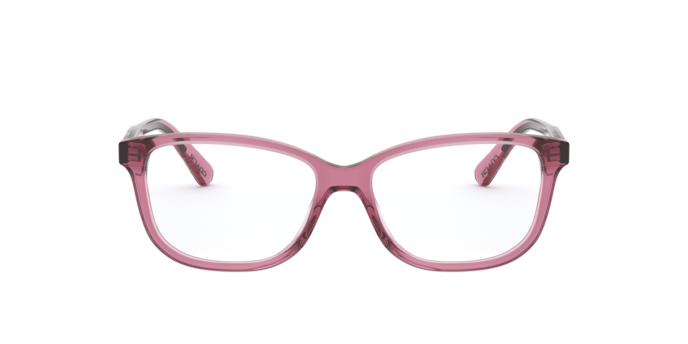 Coach HC6143 in Transparent Mauve / Demo Lens (5569) - Alternate View