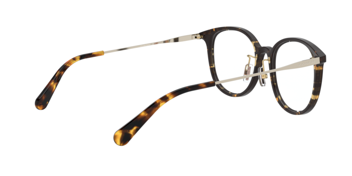 Coach HC6160D in Dark Tortoise - Alternate View