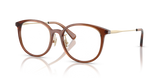 Transparent Brown / Demo Lens (5847)