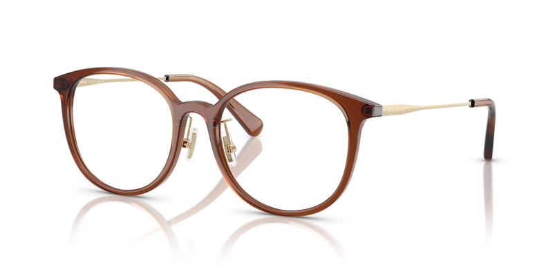Coach HC6160D in Transparent Brown - Alternate View
