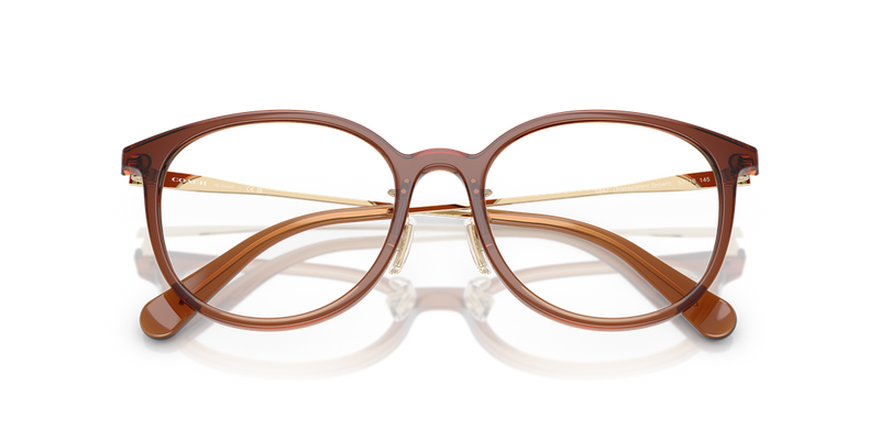 Coach HC6160D in Transparent Brown - Alternate View