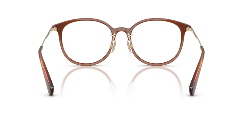 Coach HC6160D in Transparent Brown - Alternate View