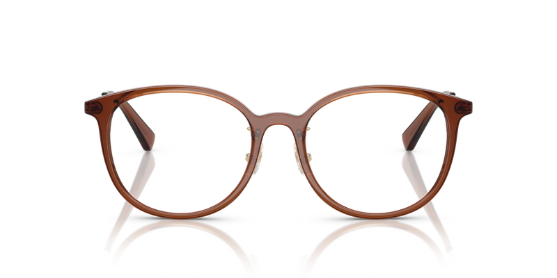 Coach HC6160D in Transparent Brown - Alternate View