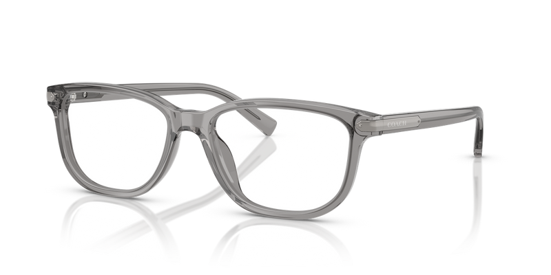 Coach C2102 in Transparent Grey / Demo Lens (5849) - Alternate View