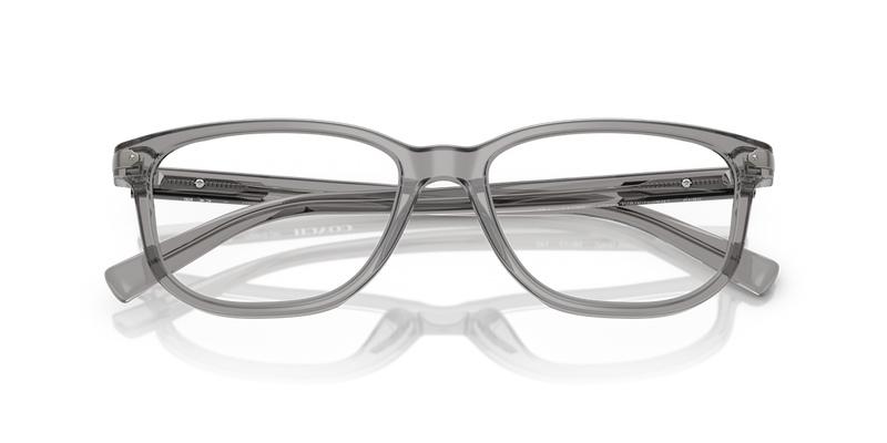 Coach C2102 in Transparent Grey / Demo Lens (5849) - Alternate View