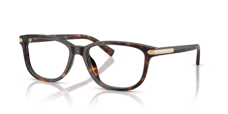 Coach C2102 in Dark Tortoise / Demo Lens (5893) - Alternate View