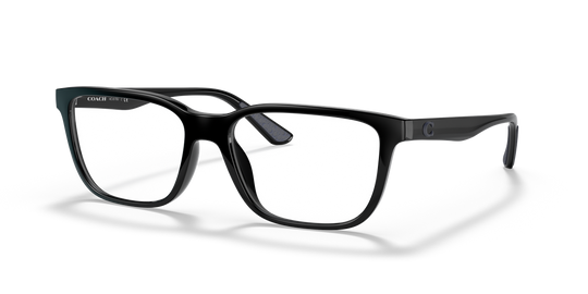 Coach C2108 - Black / Demo Lens (5002)