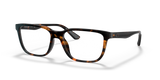 Dark Tortoise / Demo Lens (5120)