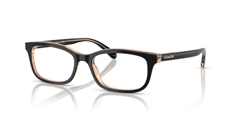 Coach HC6174 in Black/Transparent Blush / Demo Lens (5781) - Alternate View